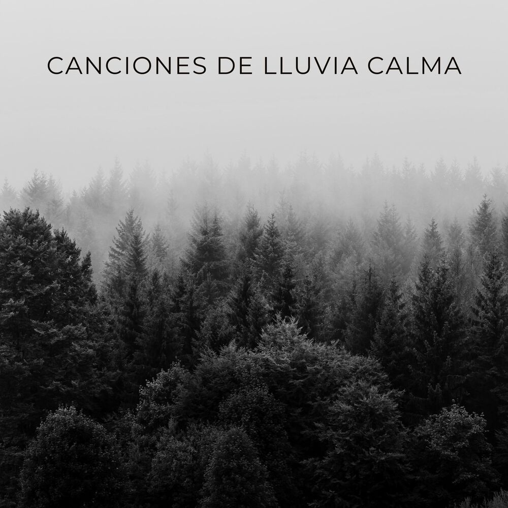 Picture of Canciones De Lluvia Calma