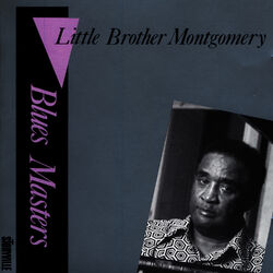 Cover of Blues Masters Vol. 7