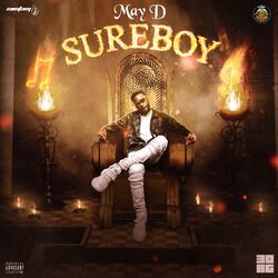 Cover of SUREBOY