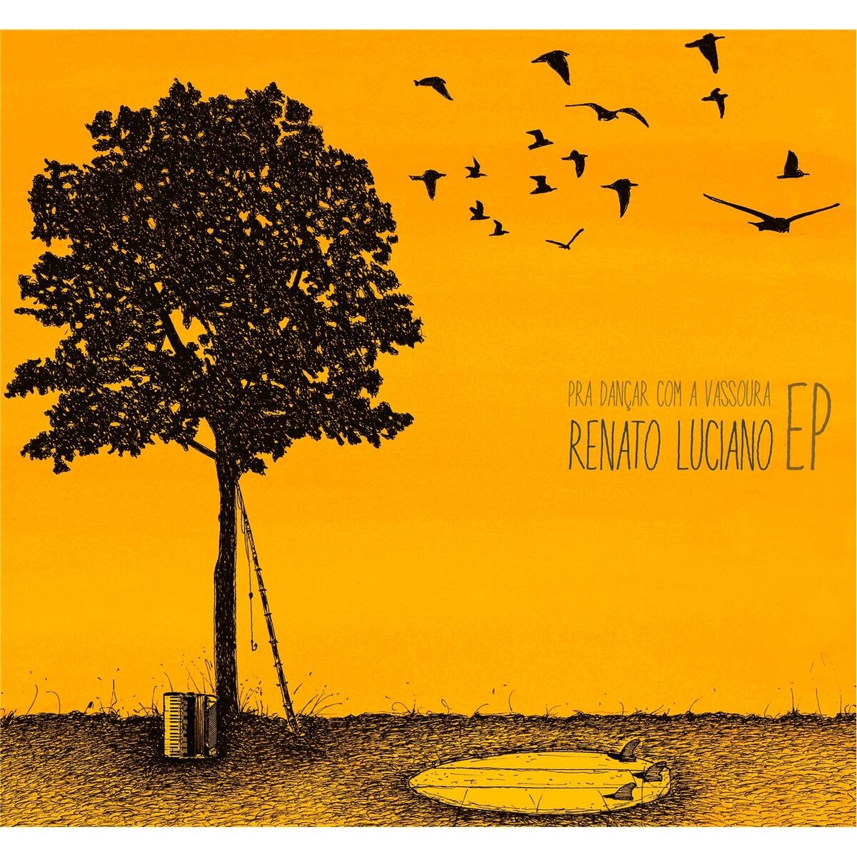 Album cover of Pra Dançar Com a Vassoura
