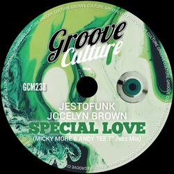 Cover of Special Love (Micky More & Andy Tee 7" Jazz Mix)