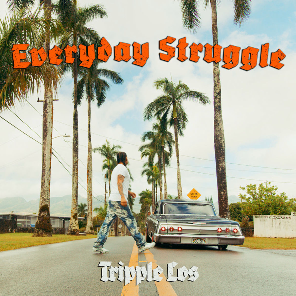 Album cover of Everyday Struggle