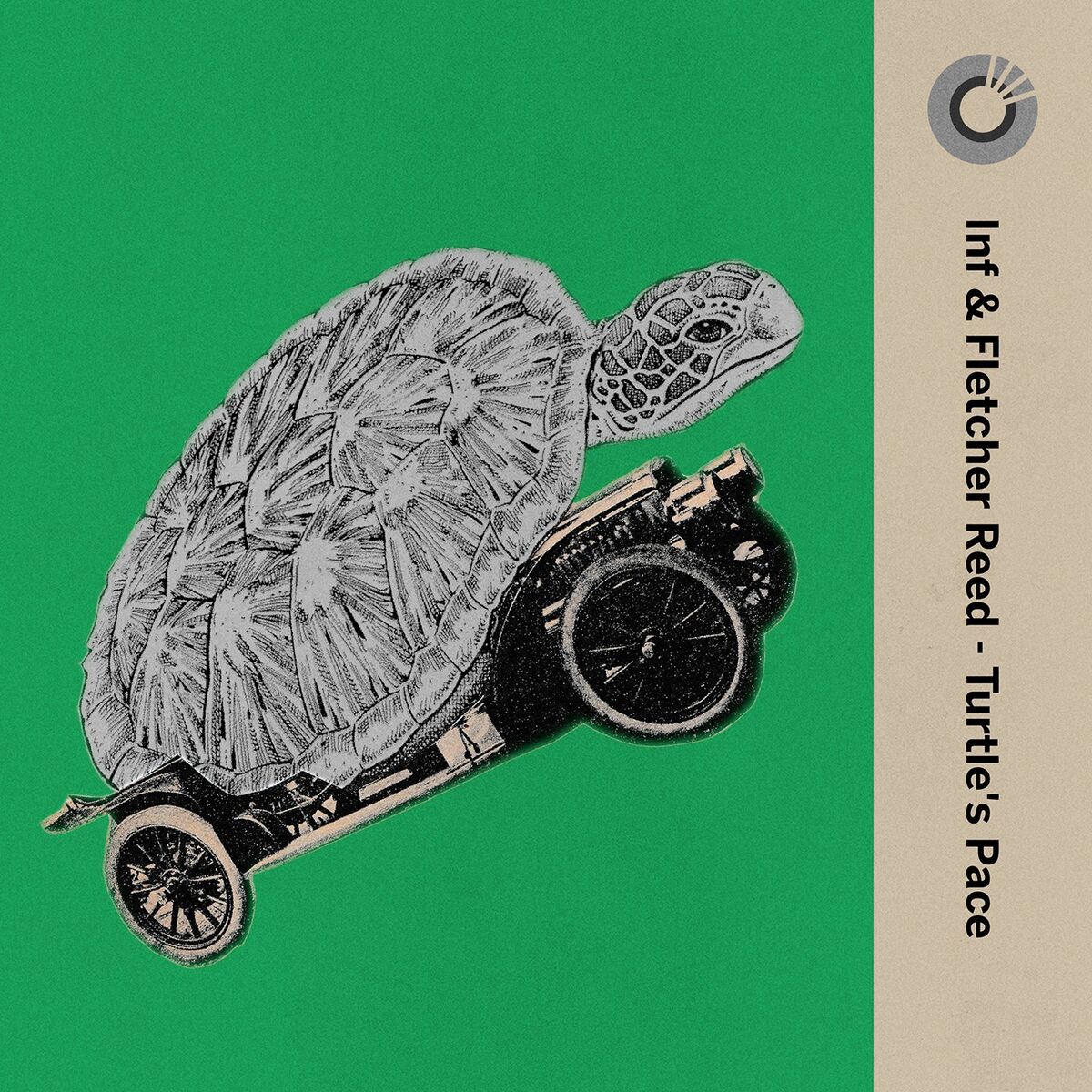 Album cover of Turtle's Pace