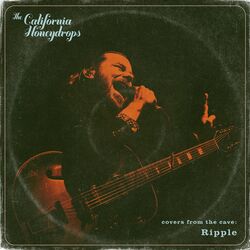 Cover of Ripple