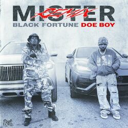 Cover of Mister (Remix)