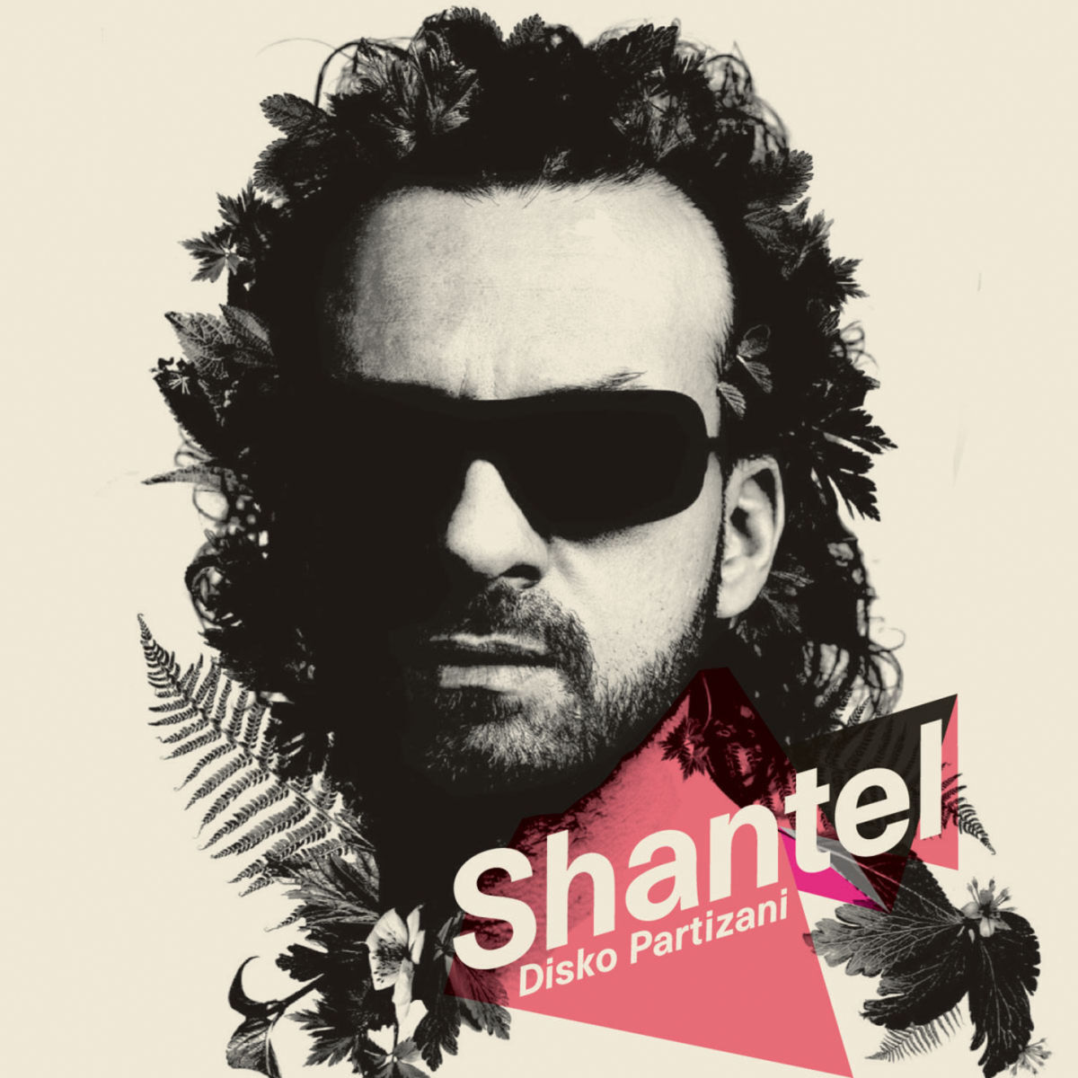 Album cover of Disko Partizani