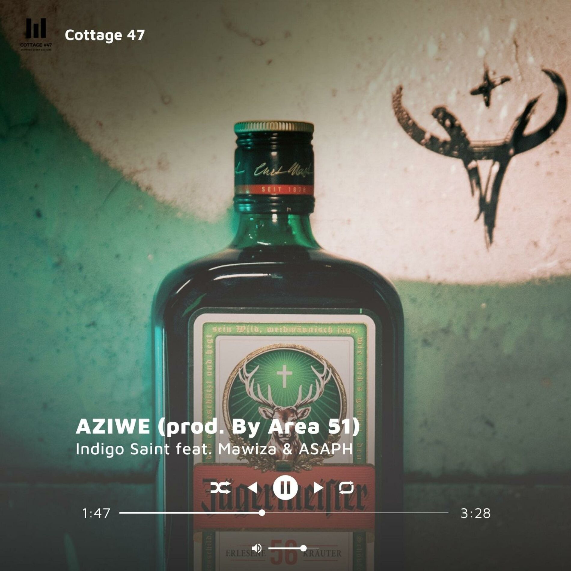 Album cover of Aziwe (feat. Mawiza & ASAPH)