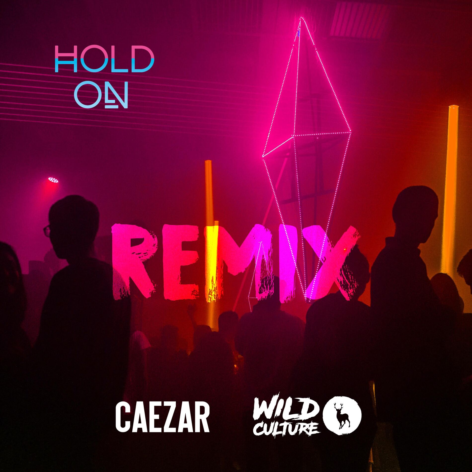 Album cover of Hold on (feat. Wild Culture)