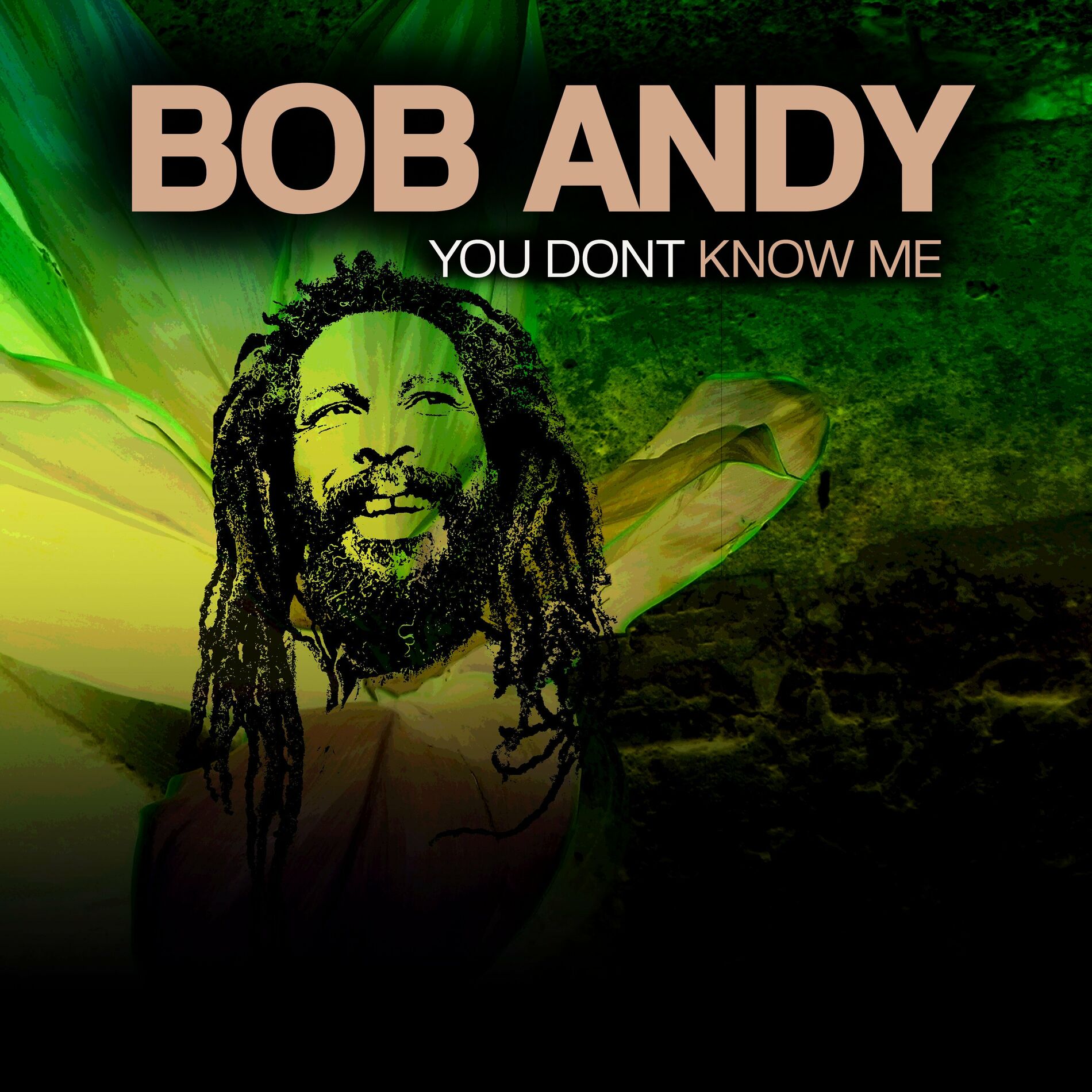 Album cover of You Don't Know Me