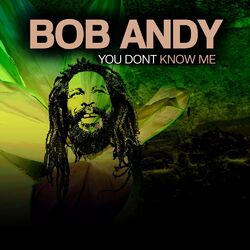 Cover of You Don't Know Me