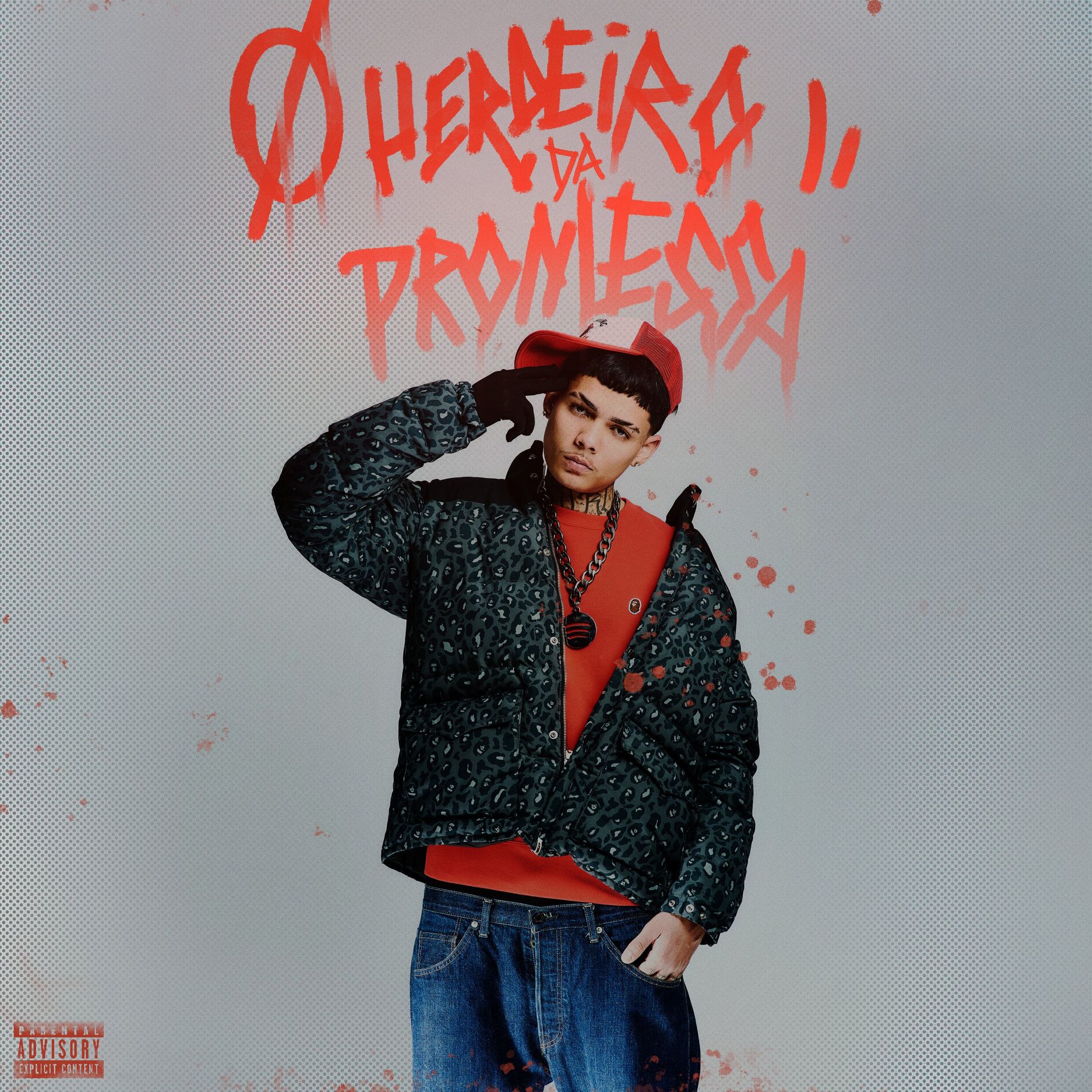 Album cover of O Herdeiro da Promessa