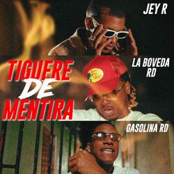 Cover of Tiguere De Mentira