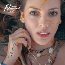 Cover of Fui Lo Que Soy