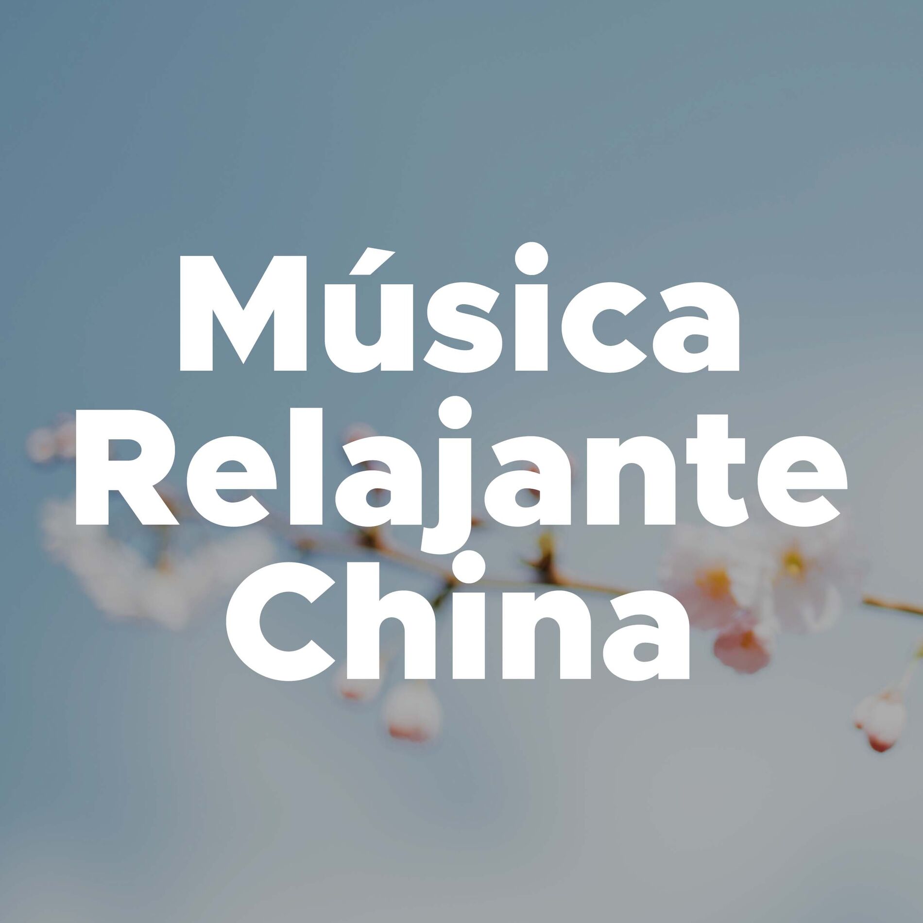Album cover of Musica Relajante China - Musica Instrumental para Relajarse