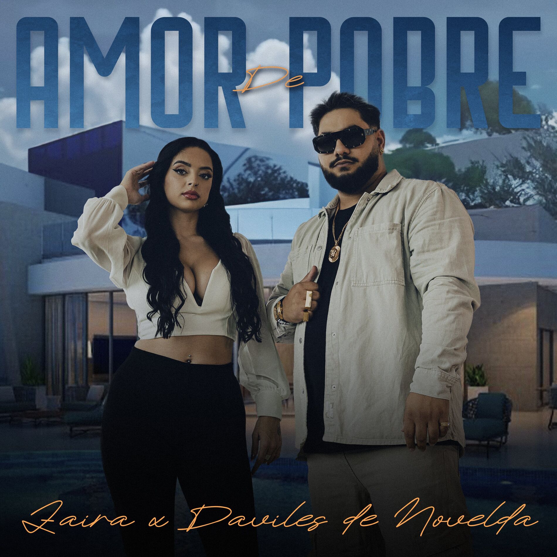 Album cover of Amor de Pobre