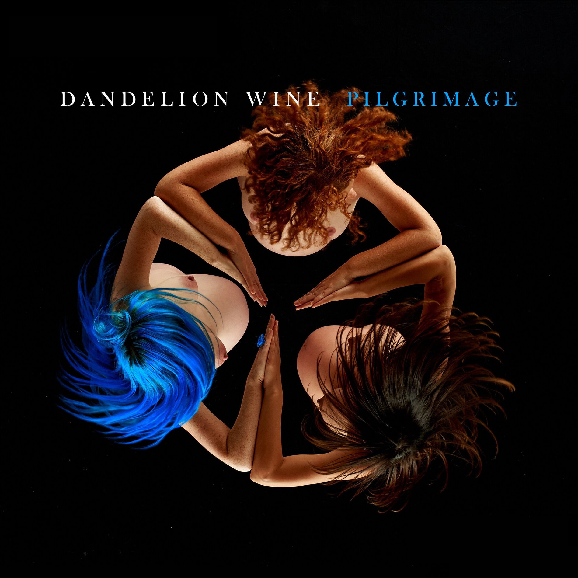 Album cover of Pilgrimage