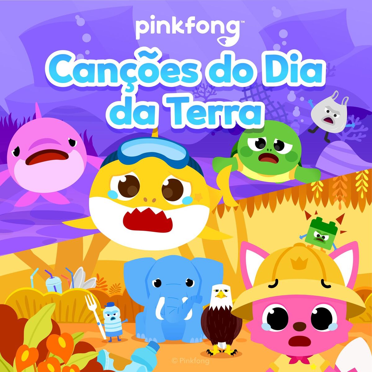 Album cover of Canções do Dia da Terra
