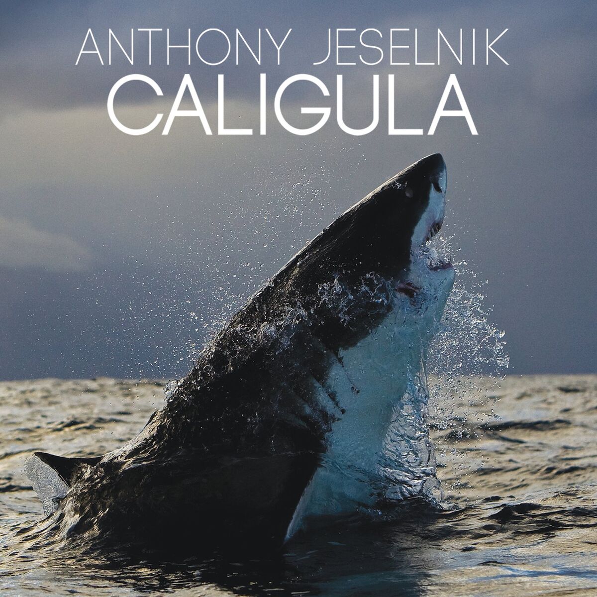 Album cover of Caligula