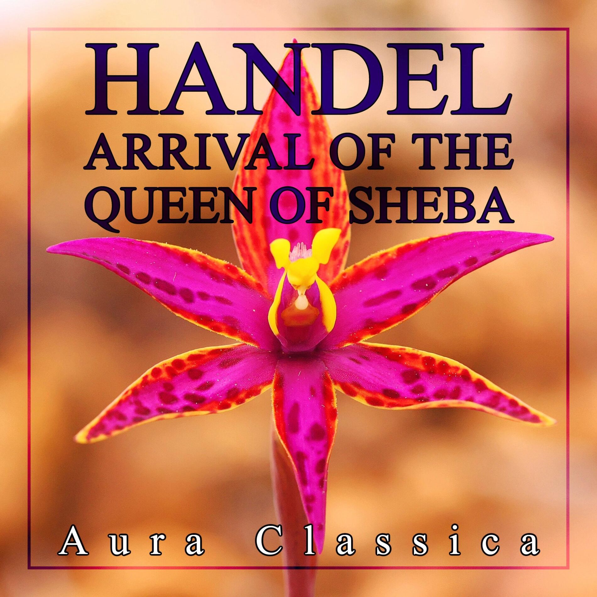 Album cover of Handel: Arrival of the Queen of Sheba