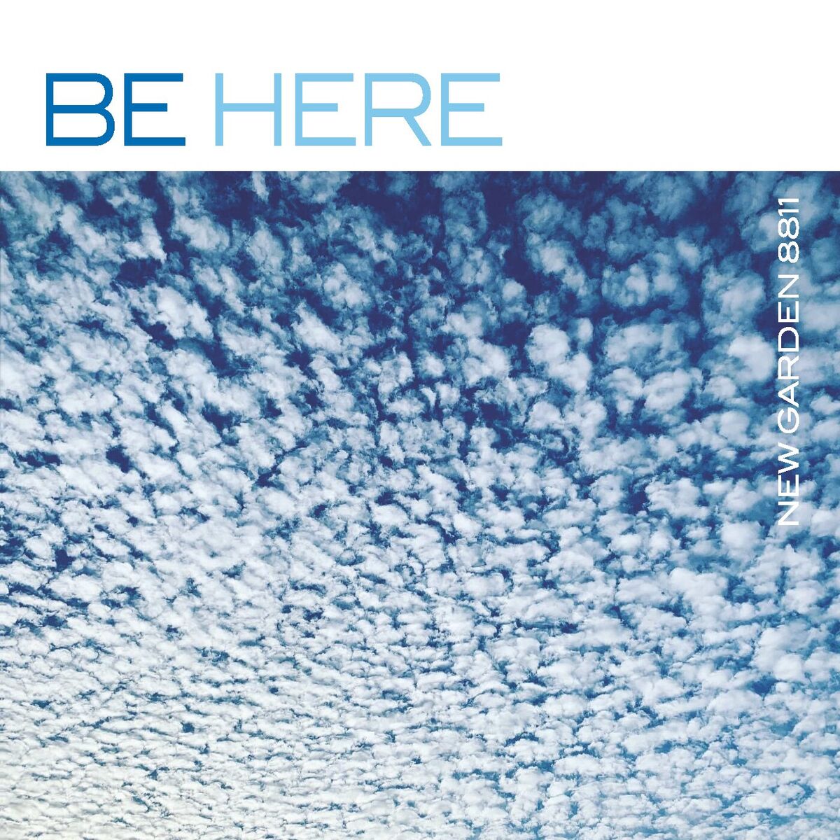 Album cover of Here