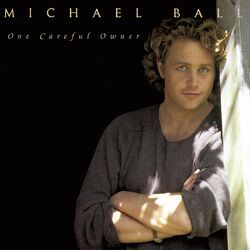 Cover of One Careful Owner
