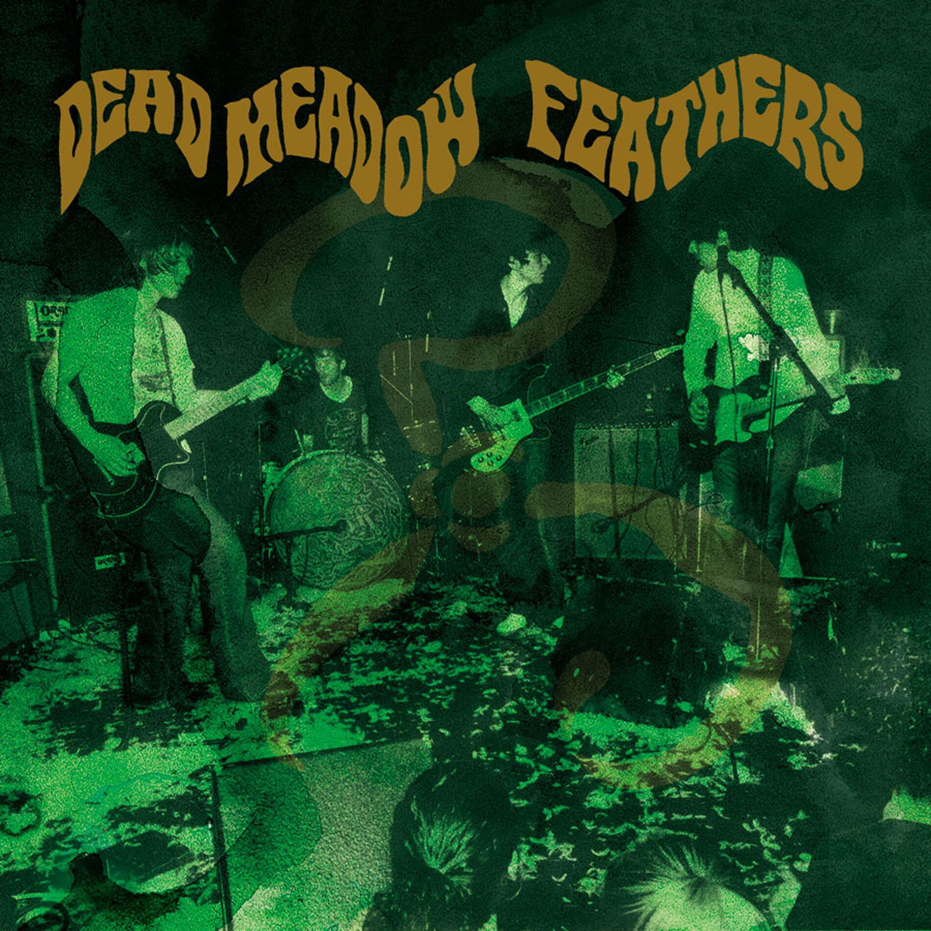 Album cover of Feathers (20th Anniversary Edition)