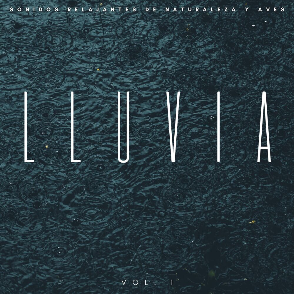 Picture of Lluvia: Sonidos Relajantes De Naturaleza Y Aves Vol. 1