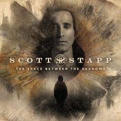 Cover of The Space Between the Shadows