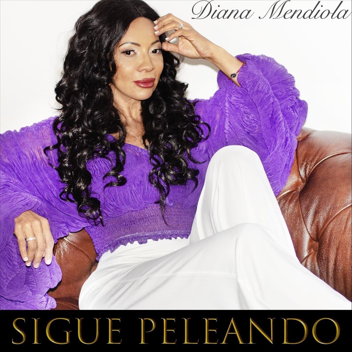 Album cover of Sigue Peleando