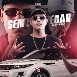 Cover of Sem Se Apegar