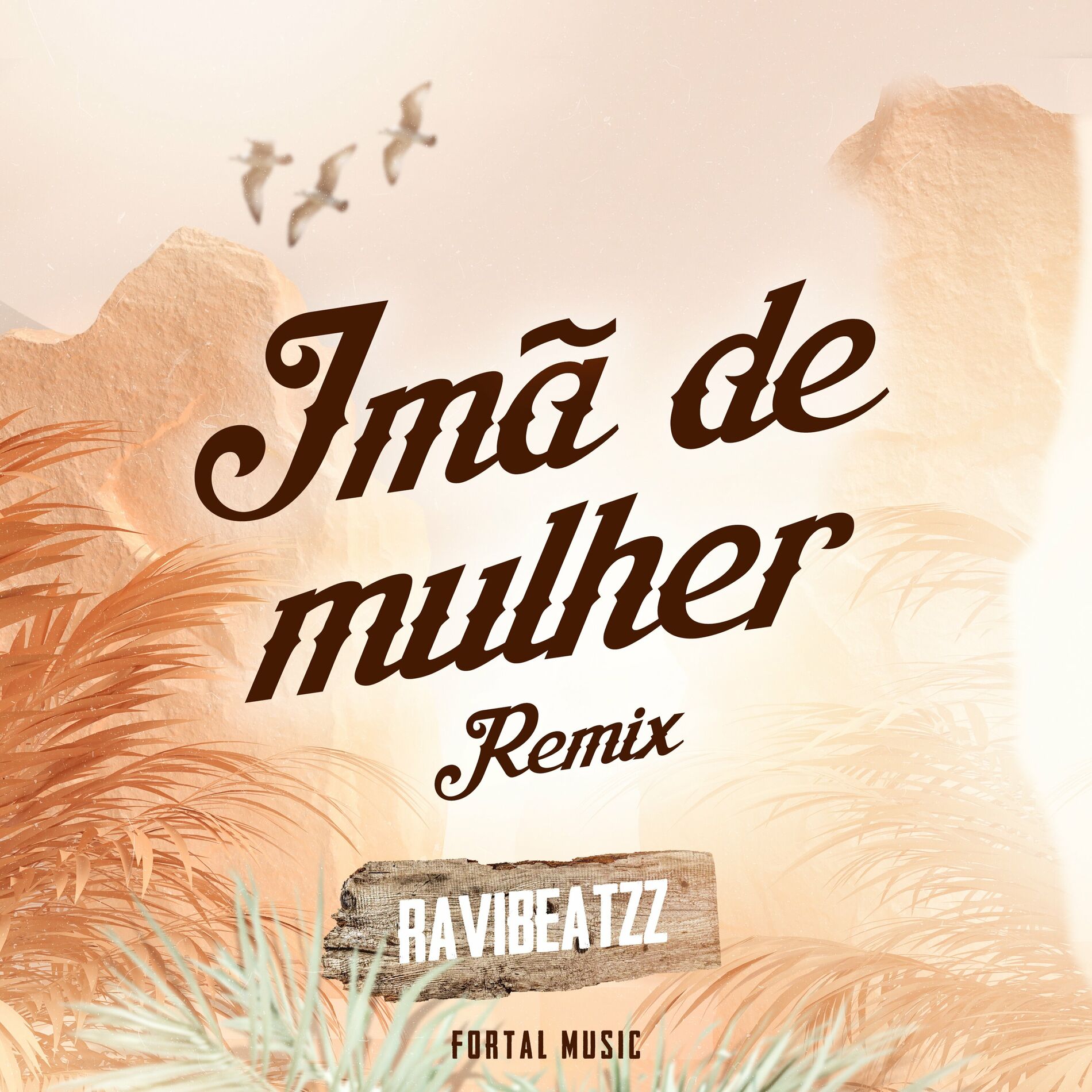 Album cover of Imã de Mulher (Remix)