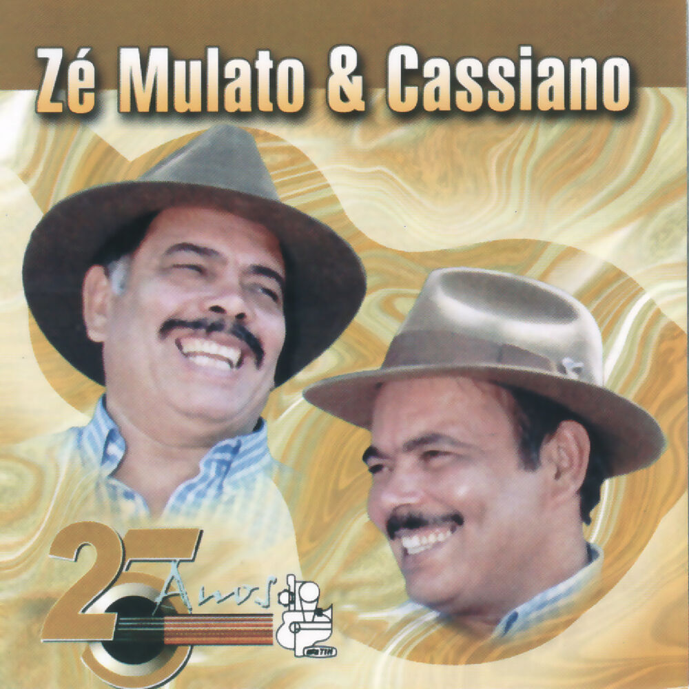 Picture of 25 Anos