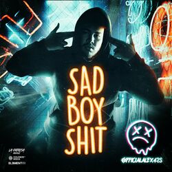 Cover of Sad Boy Shit