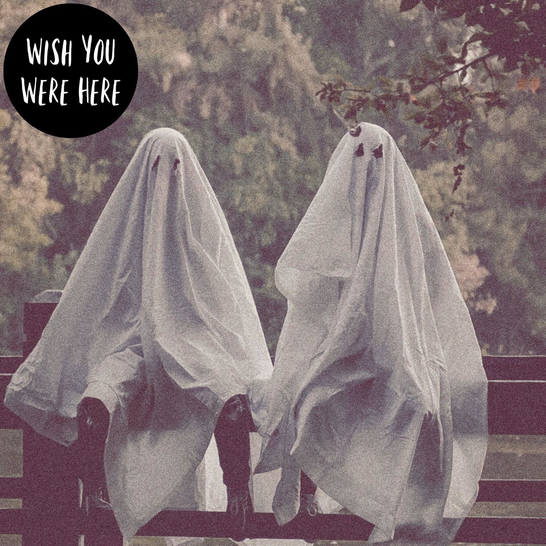 Album cover of Wish You Were Here