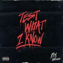 Cover of Test What I Know