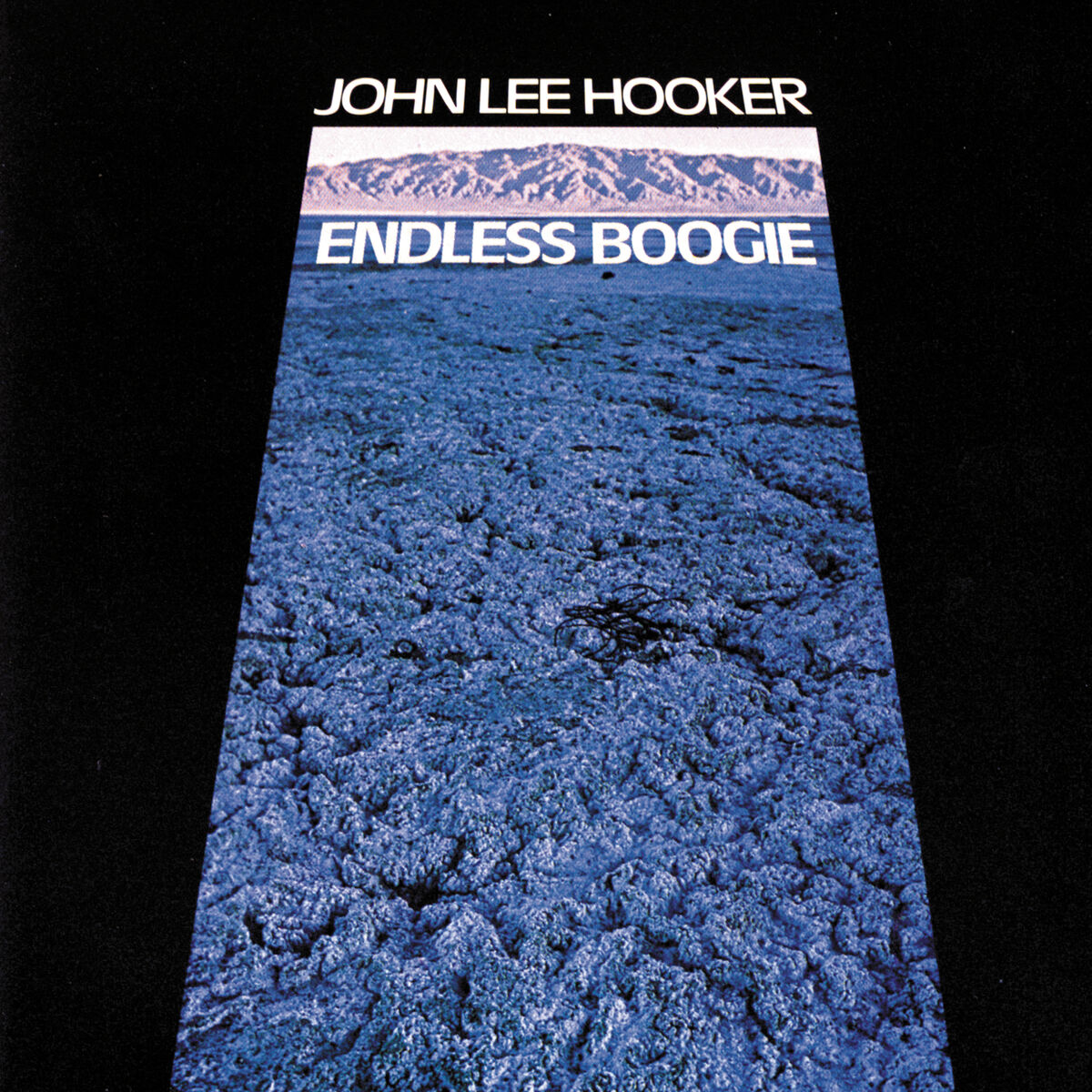 Album cover of Endless Boogie