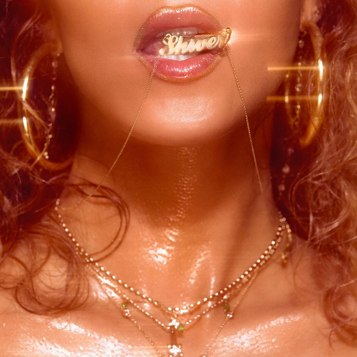 Album cover of Shiver