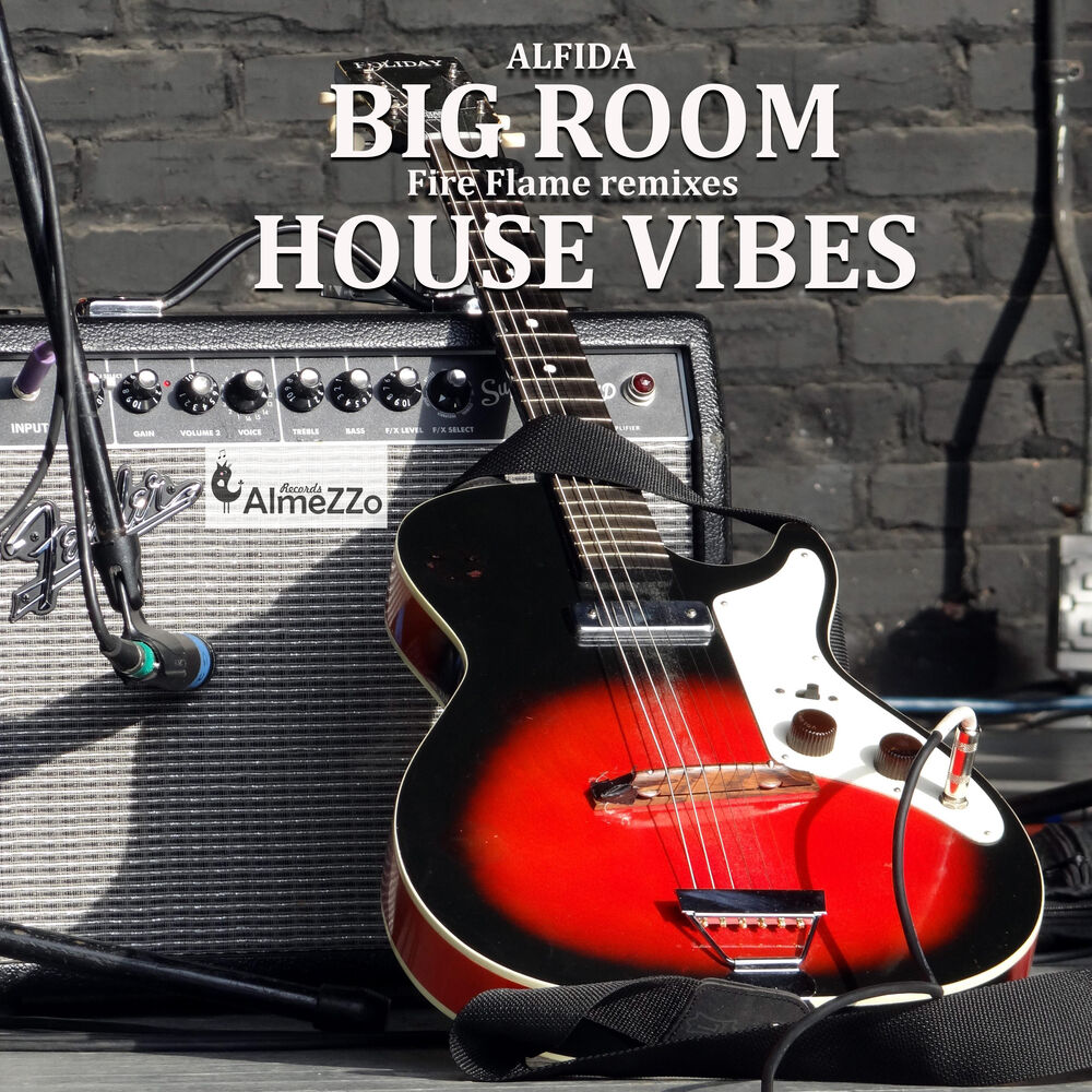 Picture of Big Room House Vibes (Fire Flame Remixes)