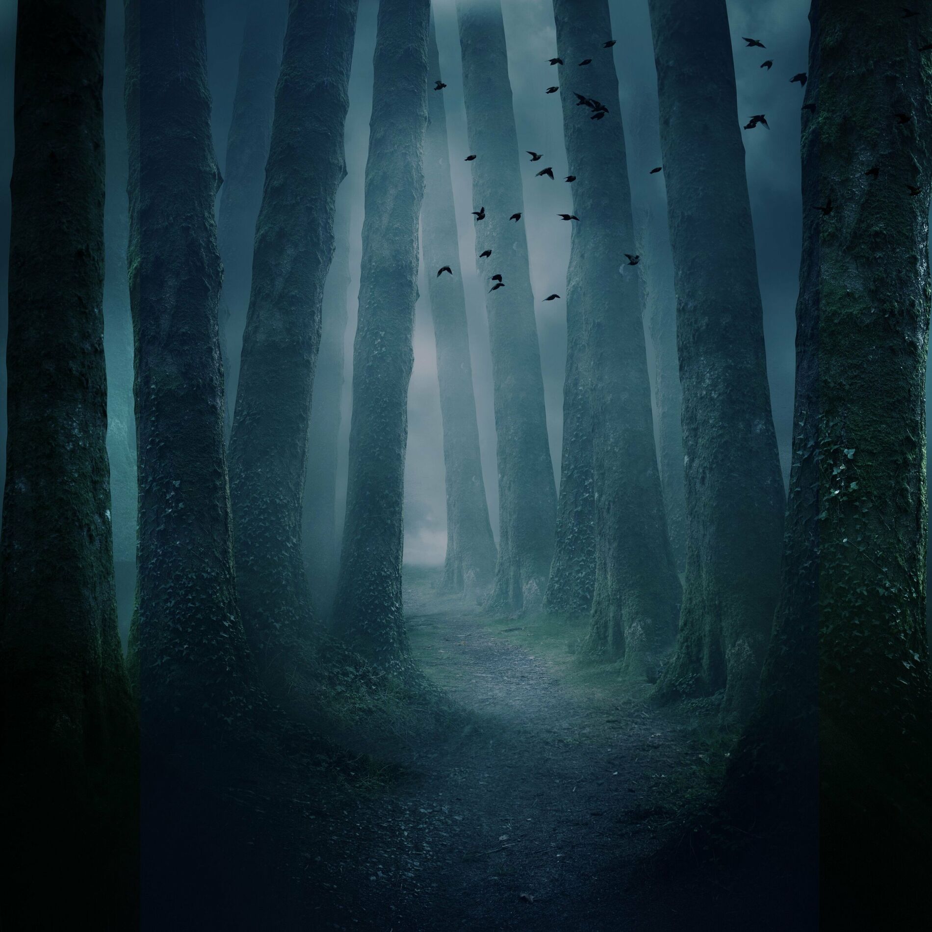 Album cover of Out of Blue