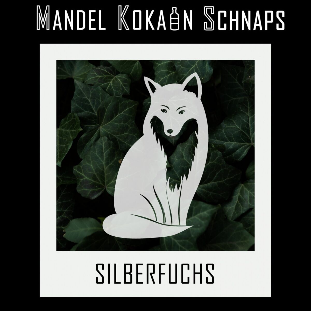 Album cover of Silberfuchs