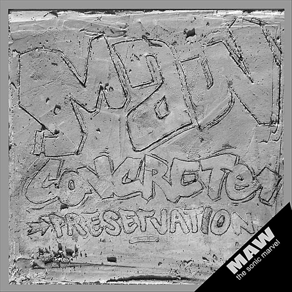 Picture of Concrete Preservation