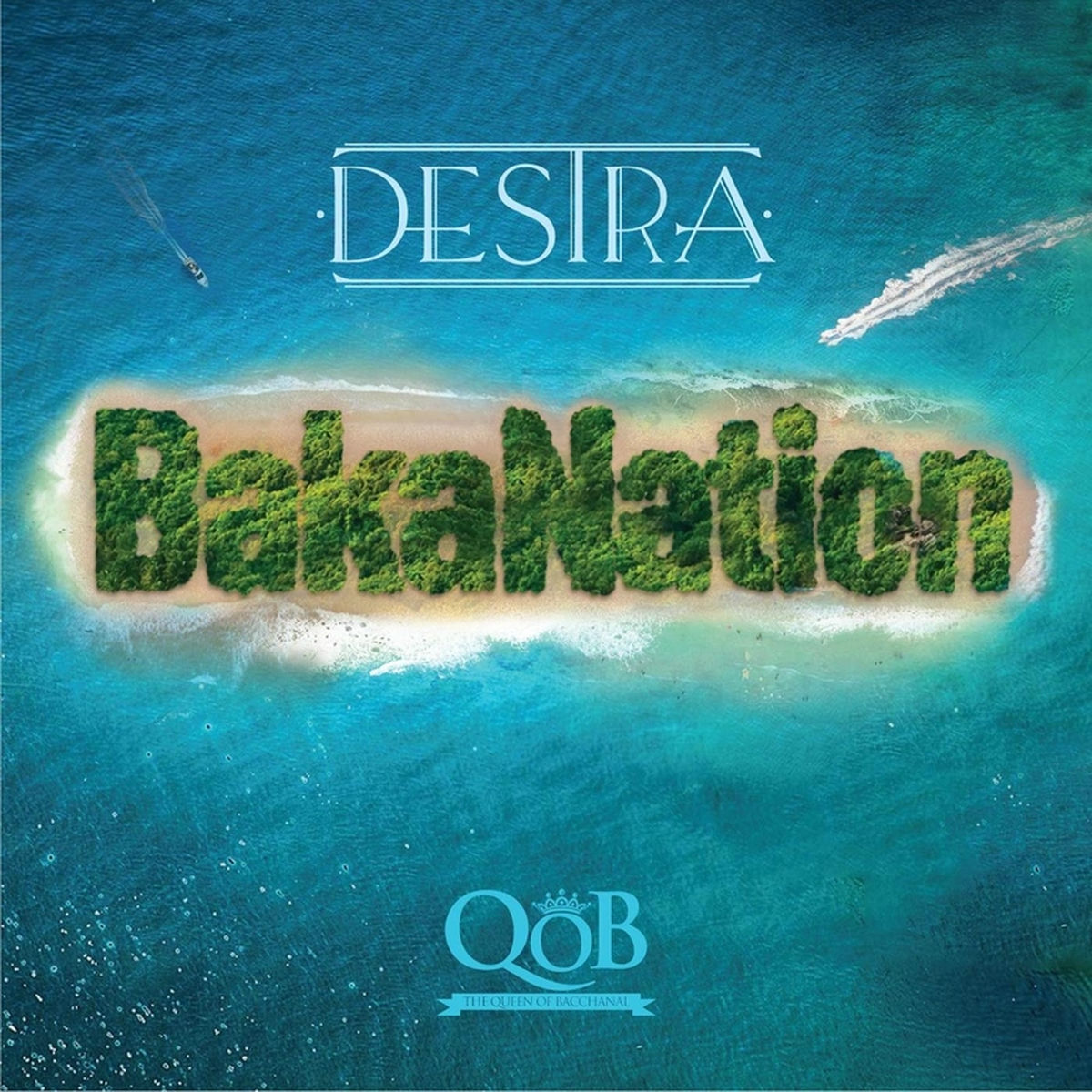 Album cover of Bakanation