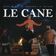 LE CANE