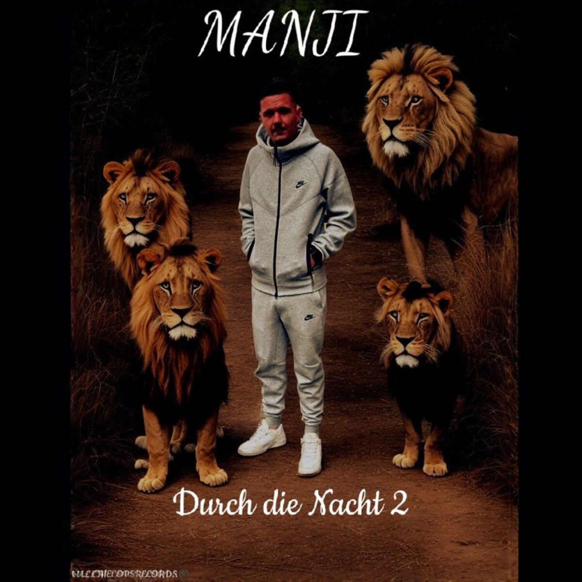 Album cover of Durch die Nacht 2