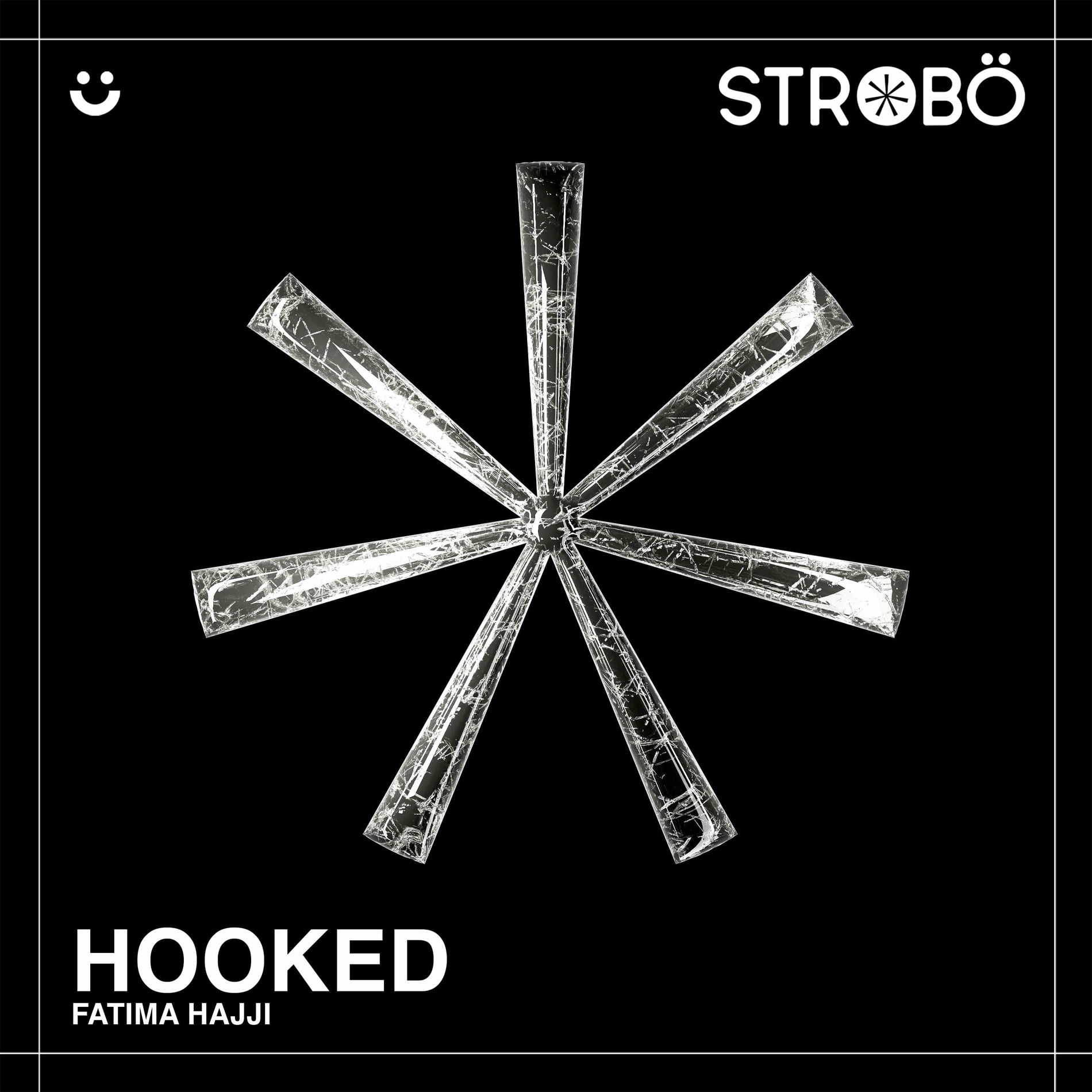 Album cover of Hooked
