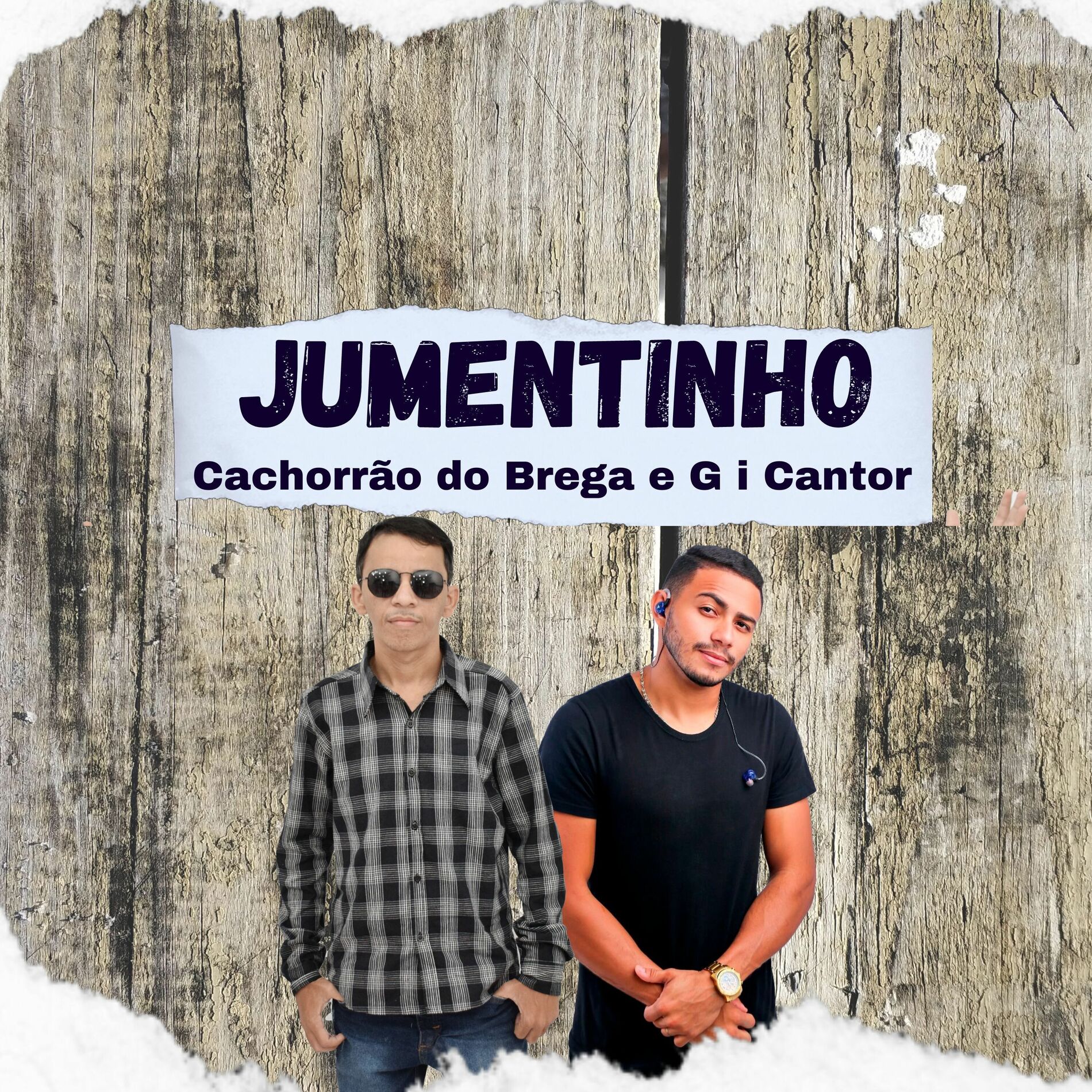 Album cover of Jumentinho