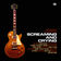 The Sun Is Shining by Elmore James album cover