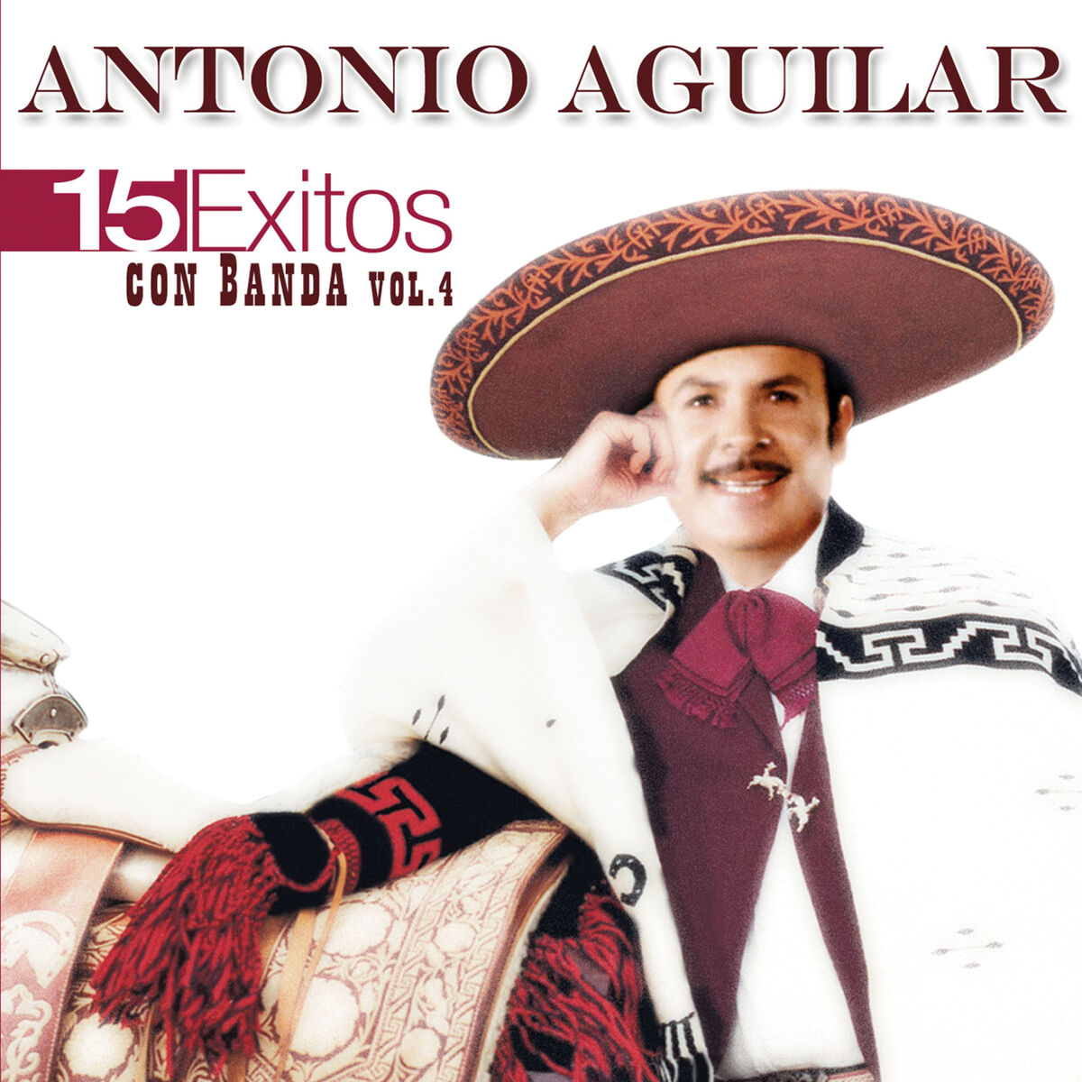 Album picture of 15 Éxitos Con Banda, Vol. 4