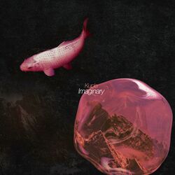 Cover of Imaginary