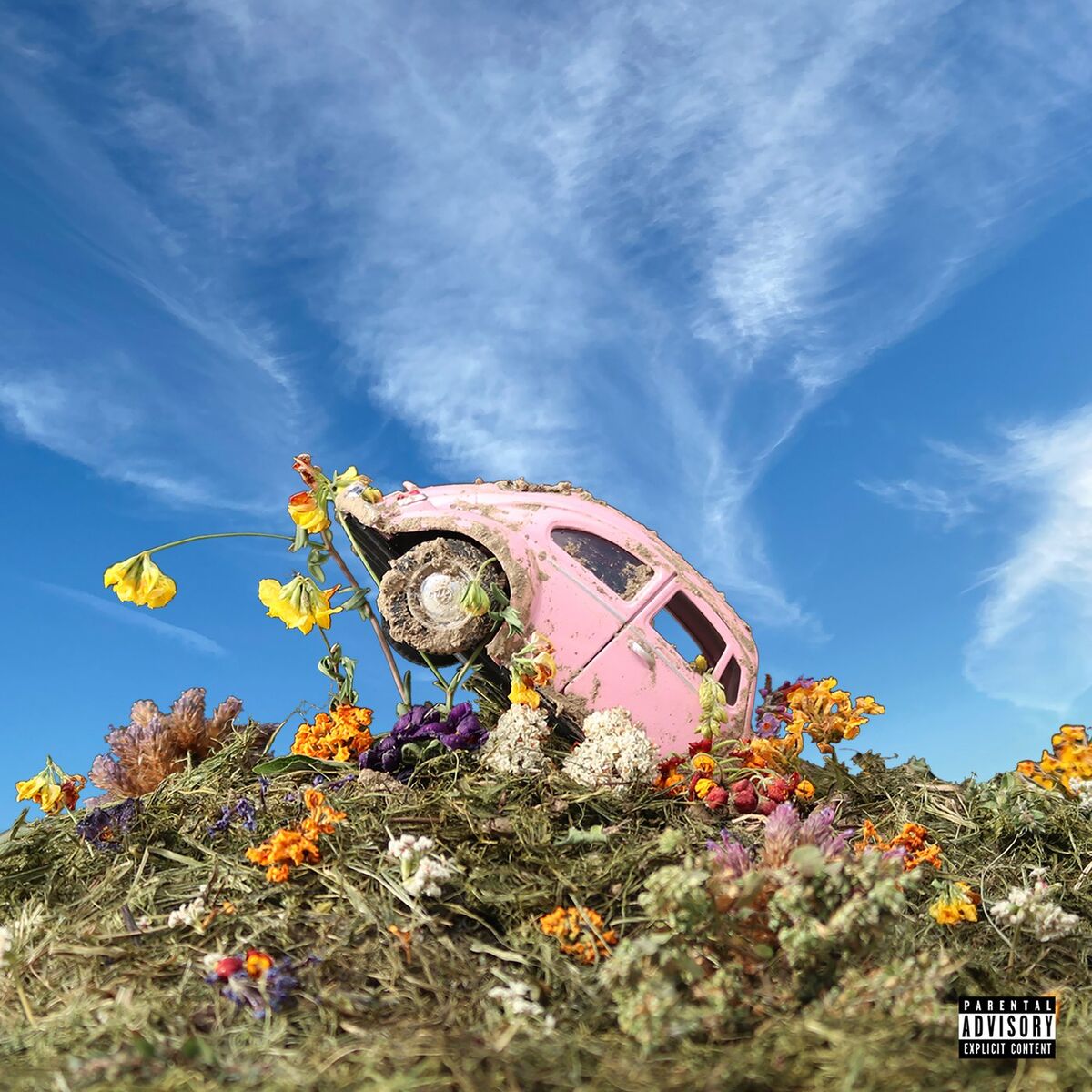 Album cover of Little Deaths